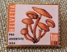A869 - Pin PTT Pro Juventute Helvetia