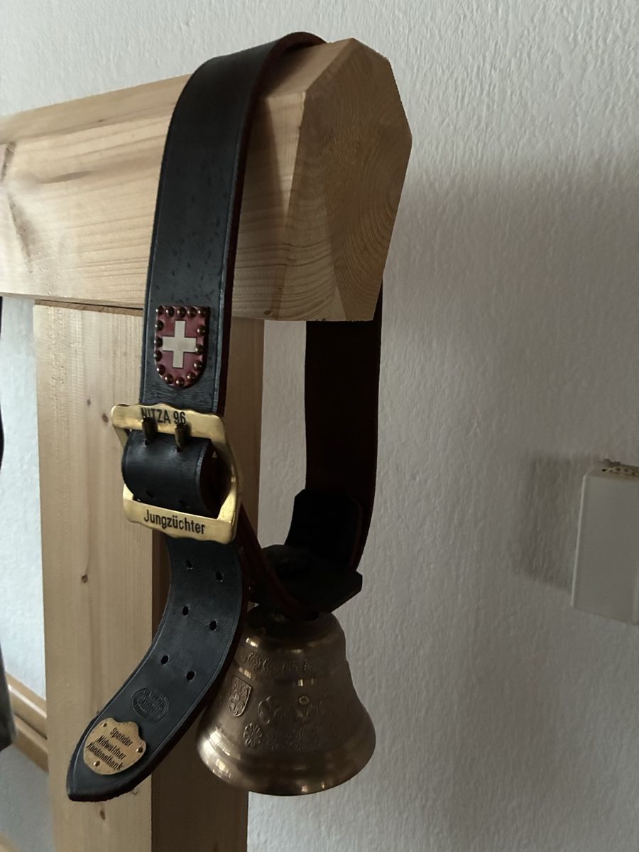 Glocken & Treicheln: Glocke – Gebraucht aus Walenstadt von jan_6bx6 1
