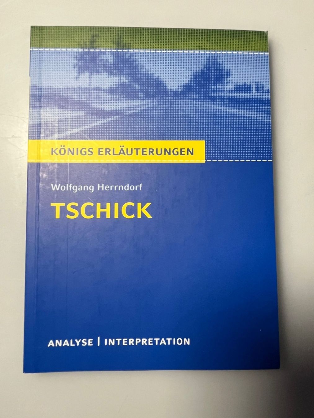 Libri: Tschick - Königs Erläuterungen – Nuovo (secondo la descrizione) da Killwangen venduto da stevekri