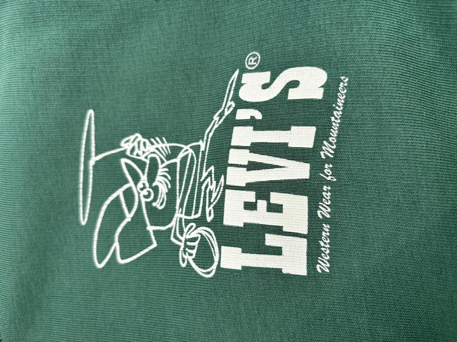 Pullover & Sweatshirts: Levis Kapuzenpullover grün – Gebraucht aus Hausen AG von Flak 1