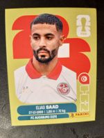Panini 2026 TUN16