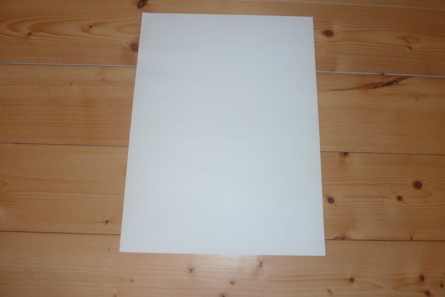 Posters & Illustrations: Fritz Hug, Druckgraphik, Falbkatze – D'occasion à Lausen par akira003 1