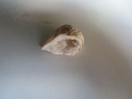 Achat Glücksgeode