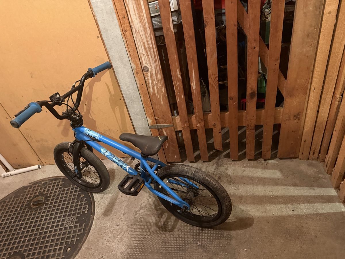 Radio Bikes Biciclette: Radio Dice Kinder BMX – Usato da Basel venduto da Haas4 1