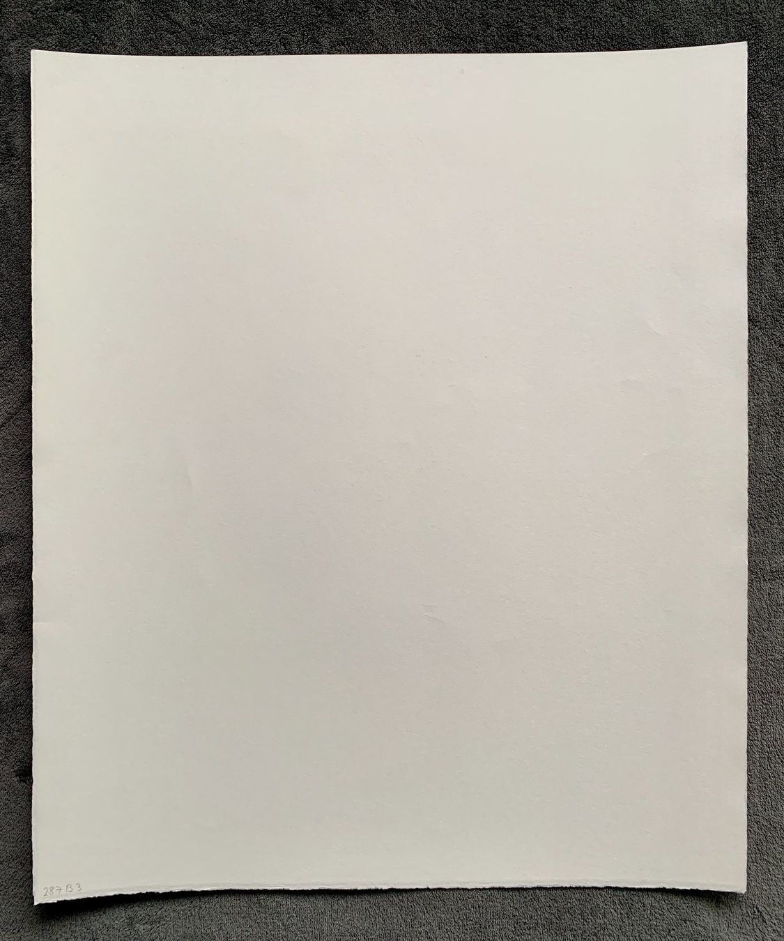 Grafiken & Lithographien: Kiki Smith – Lithographie Moth – Gebraucht aus Regensdorf von JoergR 4