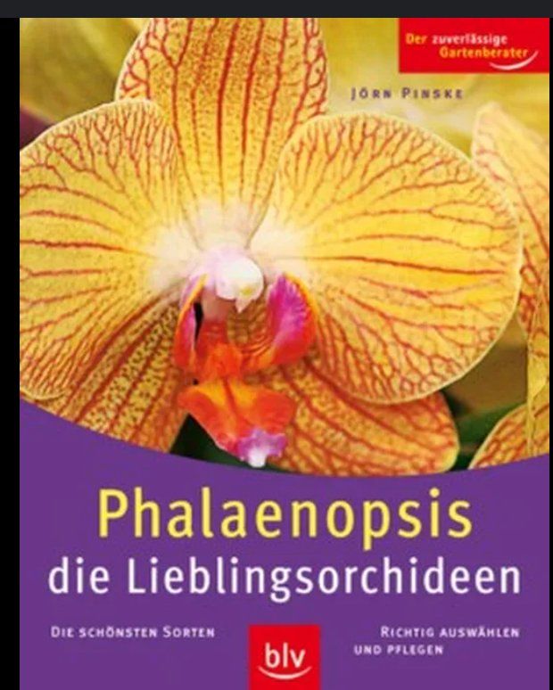 Libri: Phalaenopsis die Lieblingsorchidee – Usato da Frauenfeld venduto da SCHATZtruhe_369
