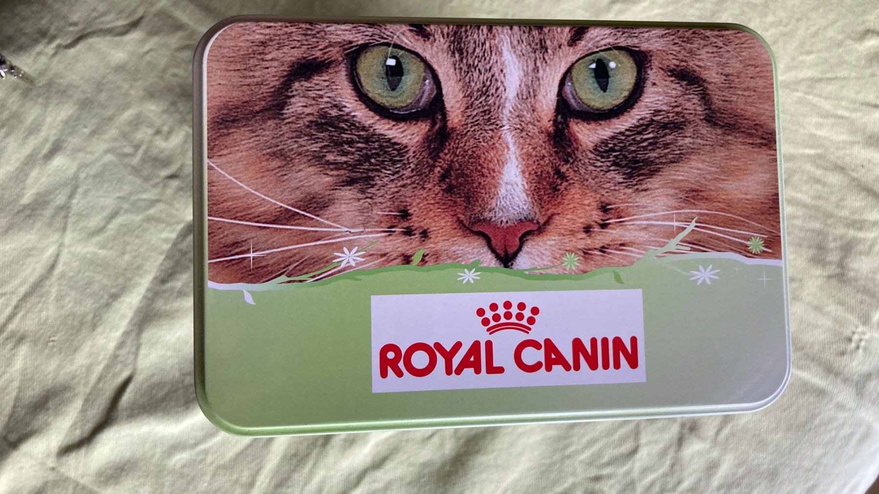 Contenitori & Simili: Royal Canin Katzen Dose – Nuovo (secondo la descrizione) da Zwingen venduto da Hugom