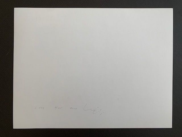 Grafica & Litografie: Ludek Vojtechovsky, Tschechien, signiert nummeriert – Usato da Zürich venduto da Aerdna_133 1