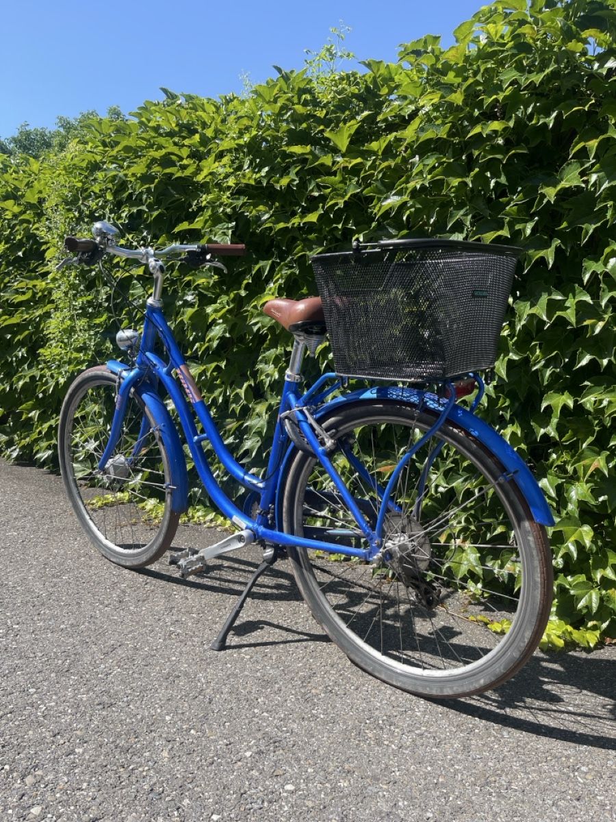 Bixs Velos: BIXS Velo blau gebraucht – Gebraucht aus Mauensee von ThePokemonOpener 1