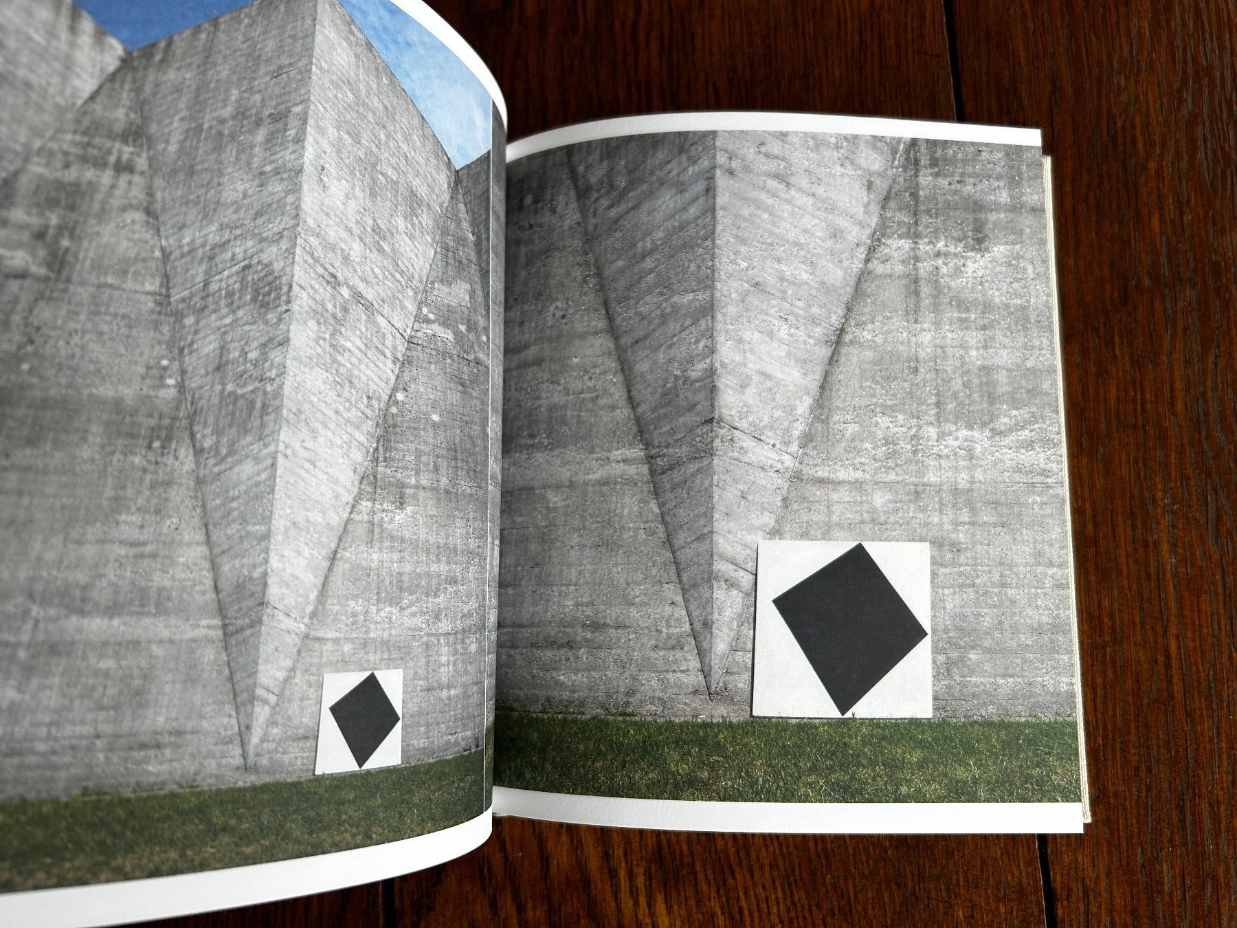 Libri: Dem Bild die Welt zeigen – Usato da Basel venduto da Chamisso 1