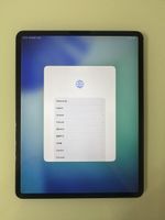 iPad Pro 12.9” (3. Generation) 256 GB – DEFEKT 