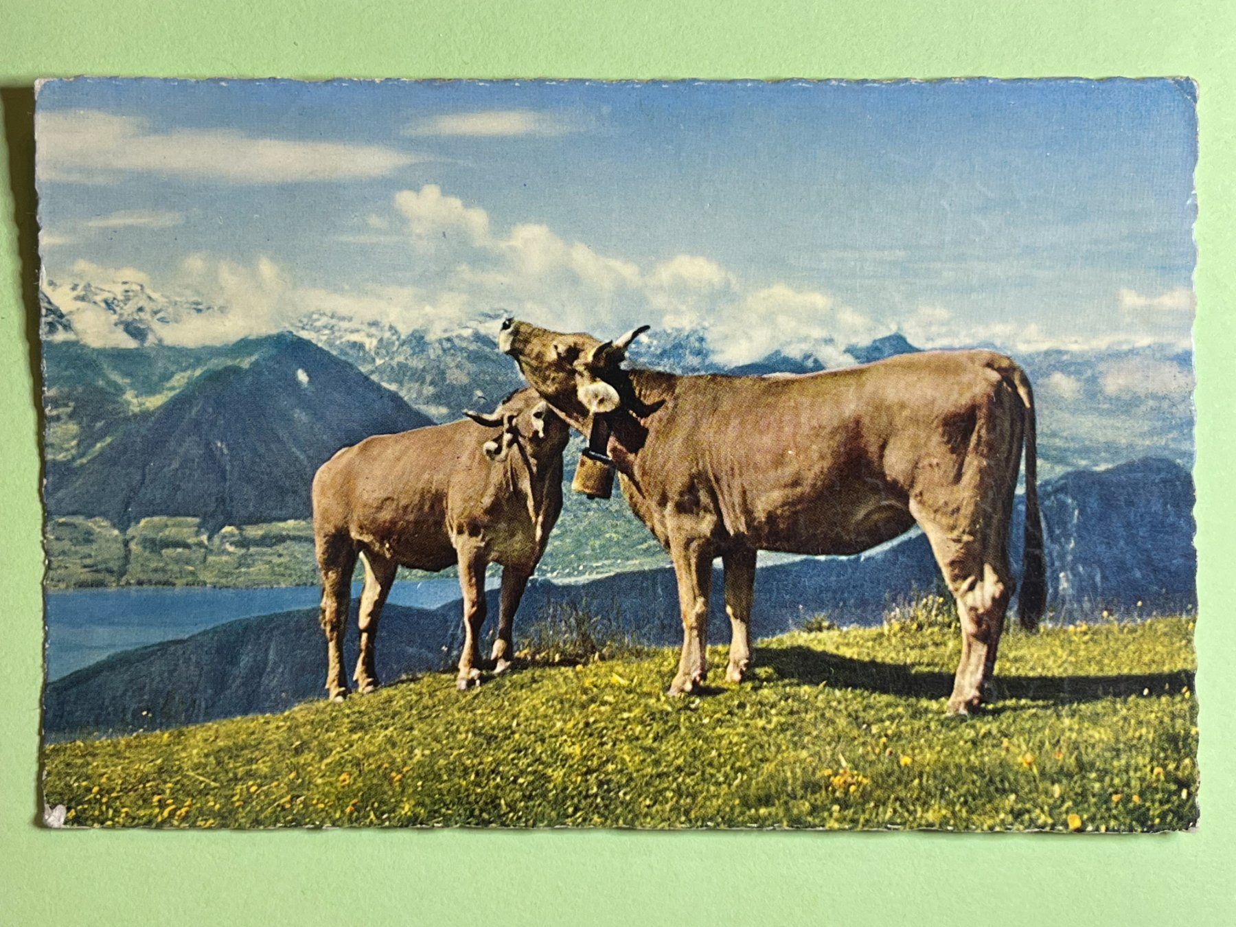 Ansichtskarten: Rigi - Rotstock – Gebraucht aus Steg VS von _vinci_
