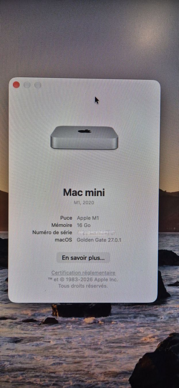 Apple PCs: Mac mini M1 - 16 Go RAM - 1 To SSD – Gebraucht aus Yverdon-les-Bains von bicholoco 2