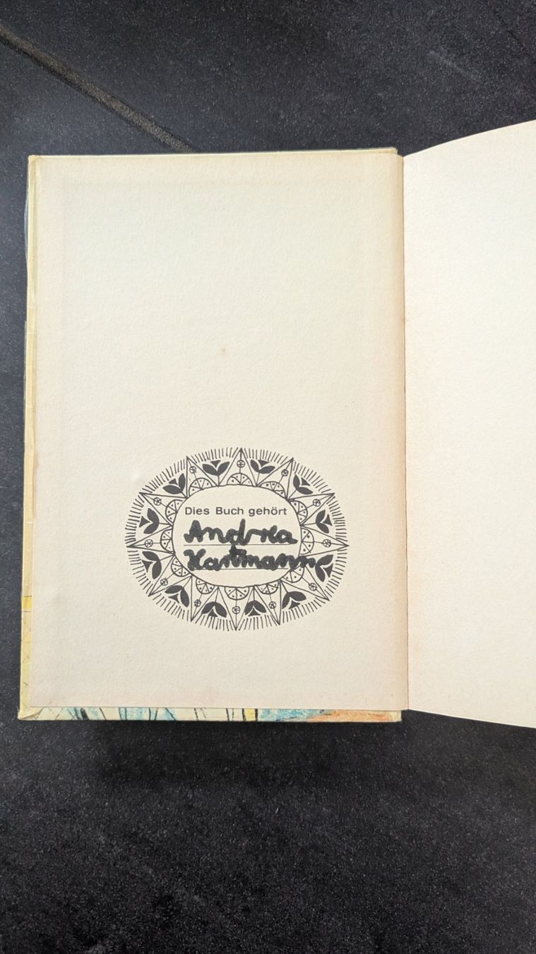 Libri: 2 Hanni und Nanni Bücher – Usato da Frauenfeld venduto da mf2_yb66 2