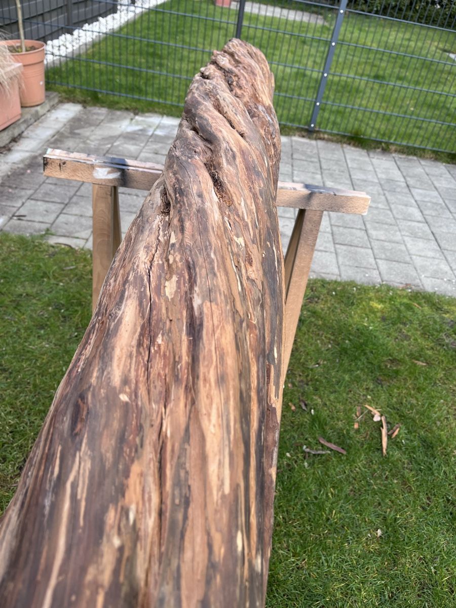 Articoli in legno: Zierbaumstamm verdreht 193cm – Nuovo (secondo la descrizione) da Hinwil venduto da Samick 2