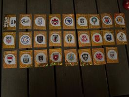 Panini Sticker United Edition Worldcup 26