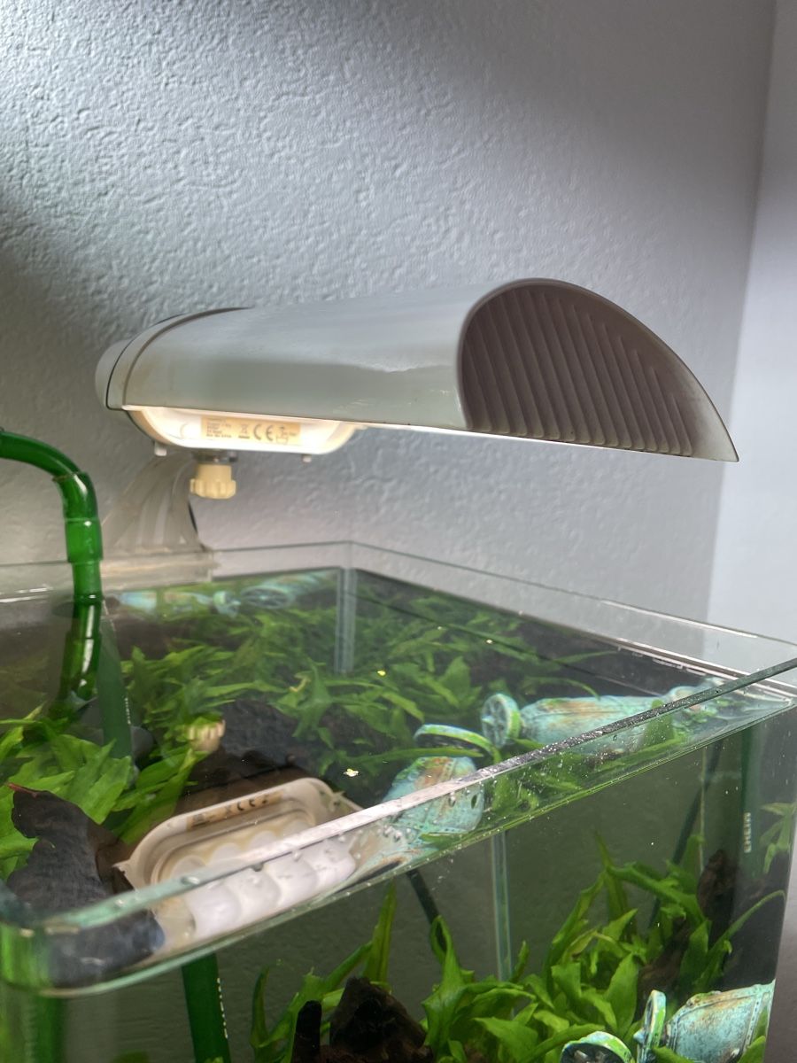 Lampade: Lampe pour aquarium – Usato da Ogens venduto da ced_qn5v 2
