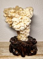Botryoidal Aragonit Höhlen Calcit Kristall Cluster 1.92kg