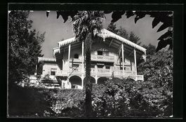 AK Lugano, Albergo Garni Palme, 1967
