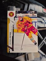 Patrick Petrini SCL Tigers 2024/25 Sportzoo