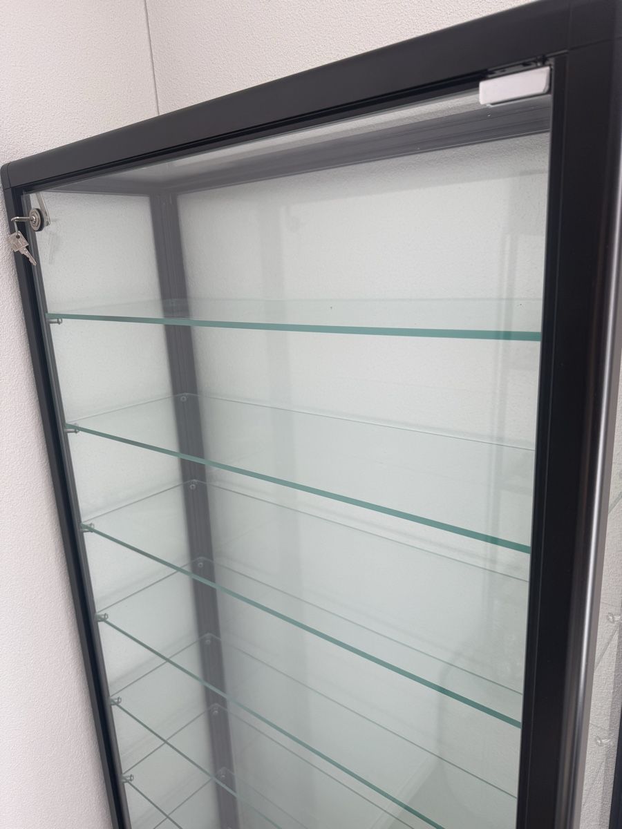 Vetrine: Vitrine für Modellautos – Usato da Dietlikon venduto da DIVO 3