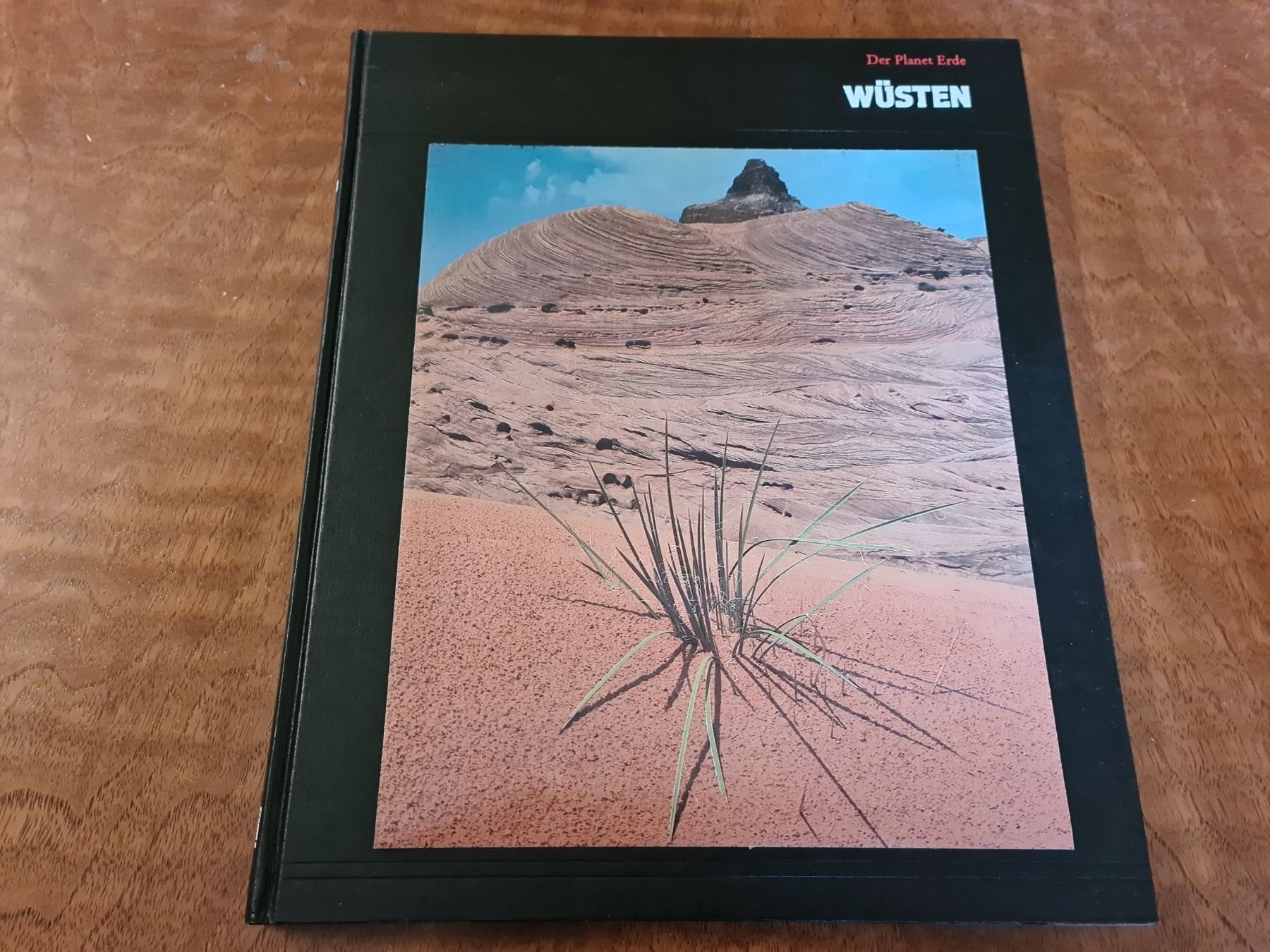 Bücher: WÜSTEN – Gebraucht aus Erstfeld von Mario_boe0
