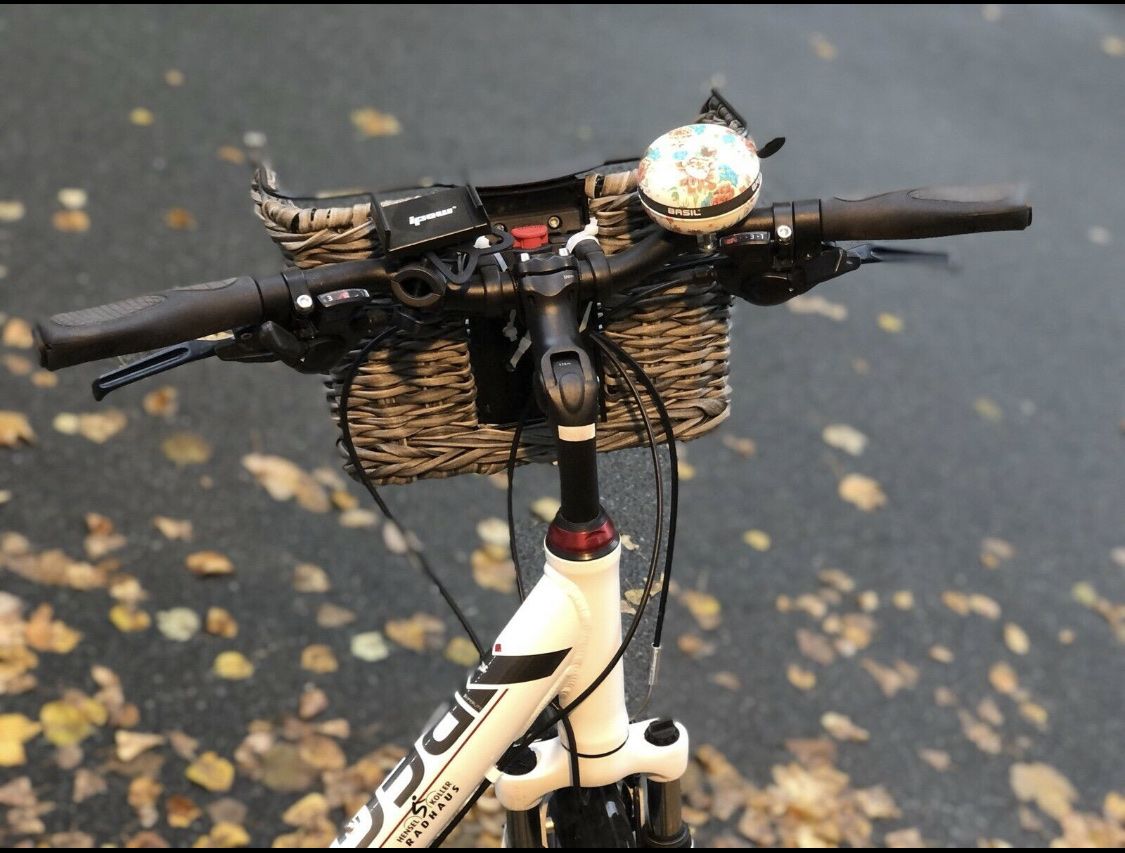 Biciclette: Velo Pegasus – Usato da Meggen venduto da mil_9p8n 5