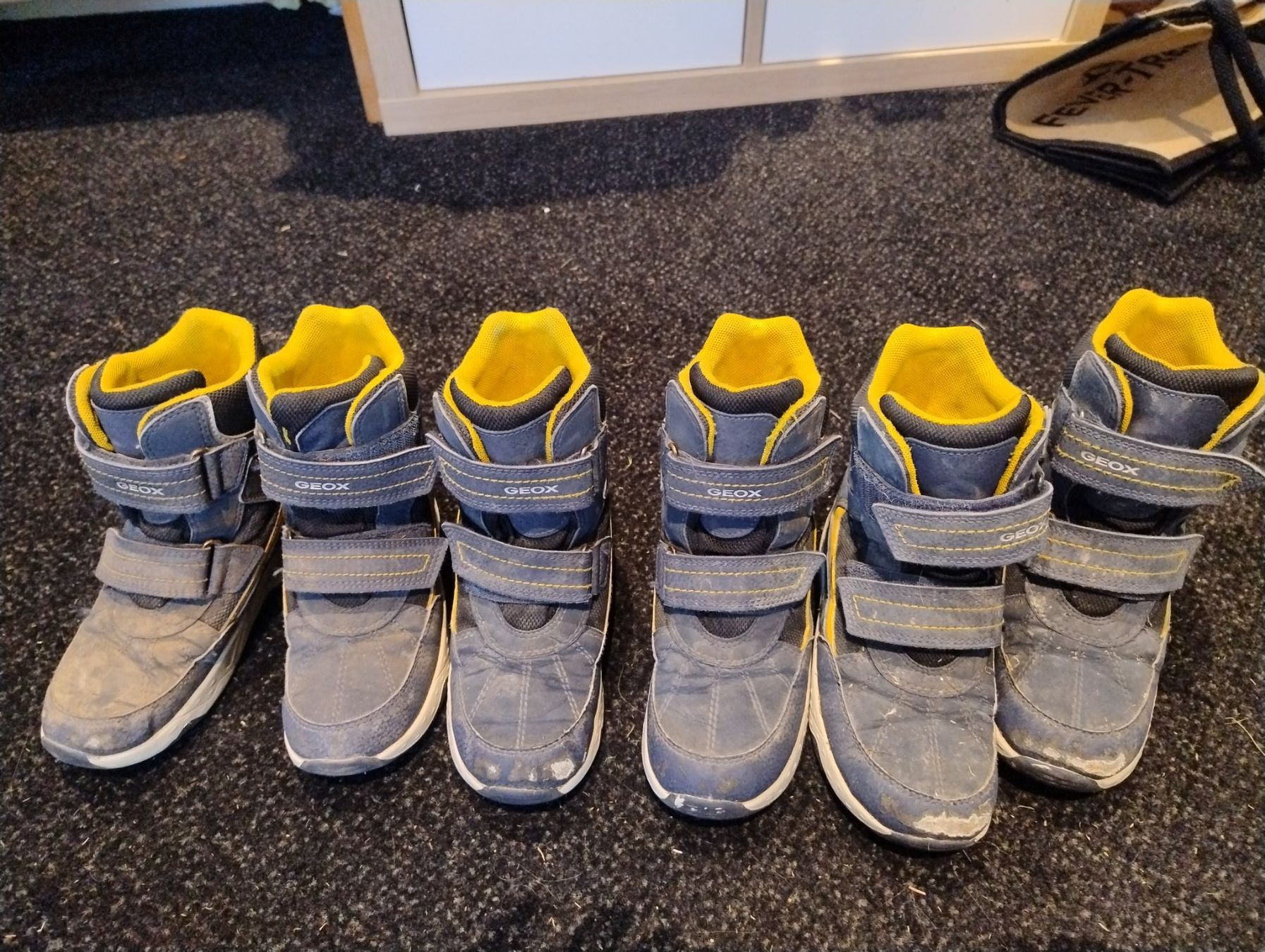 Geox Scarpe da uomo: Winterstiefel Gr. 30-32 – Usato da Bätterkinden venduto da livingdreams