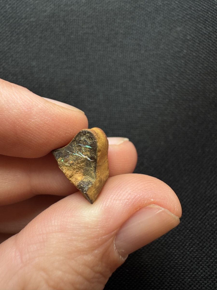 Pietre preziose: Boulder Opal Lot 2, 97.65 ct – Nuovo e nell'imballaggio originale da Wängi venduto da Horus90 6