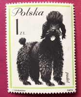 Briefmarken aus Polen Hunde UNGESTEMPELT