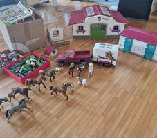 Schleich super Komplettpreis