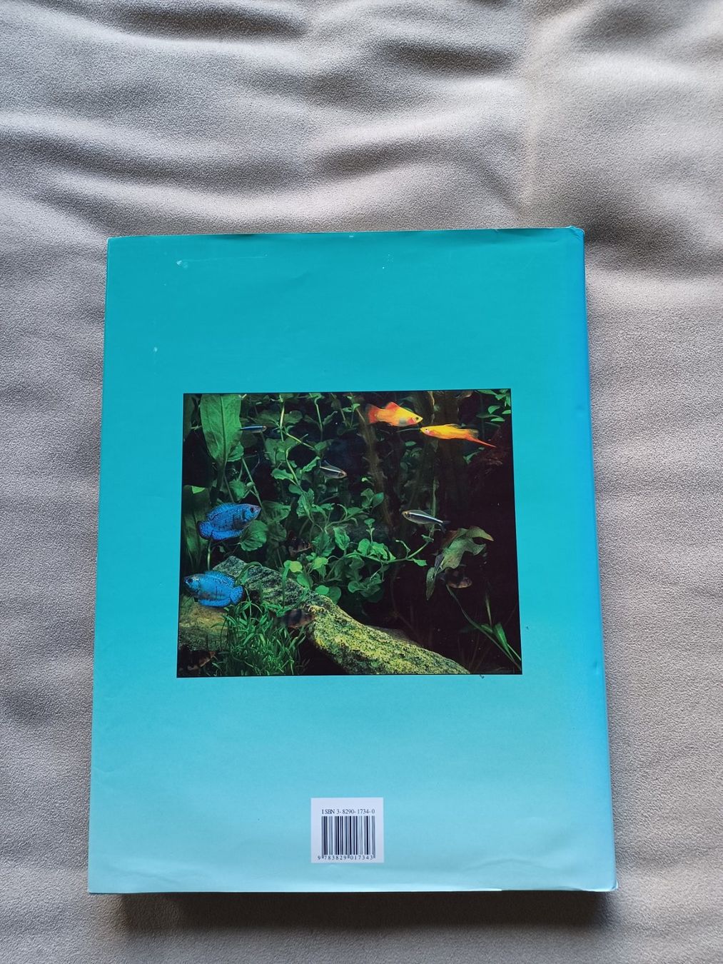 Libri: Der große Aquarienführer Buch – Usato da Schwaderloch venduto da bademeister79 1