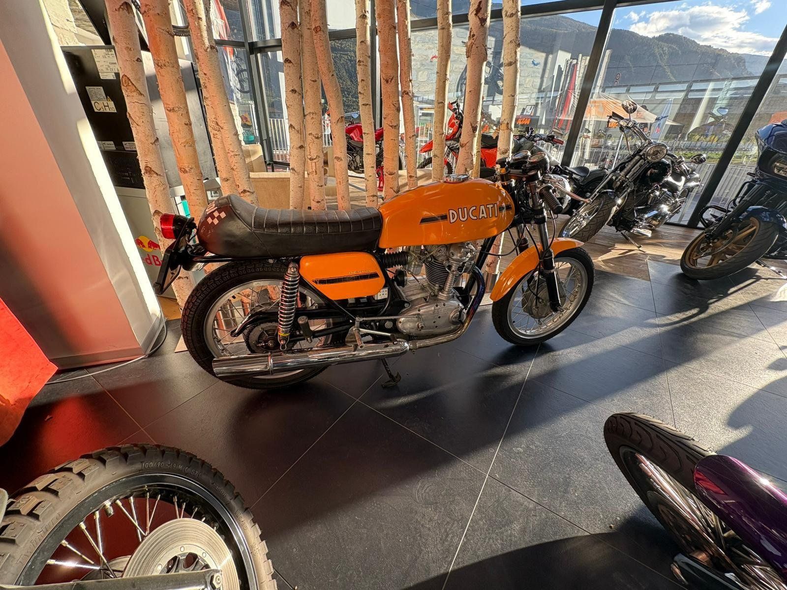 Ducati Autres: Ducati Desmo 250 GT – D'occasion à Wettingen par thedud 1