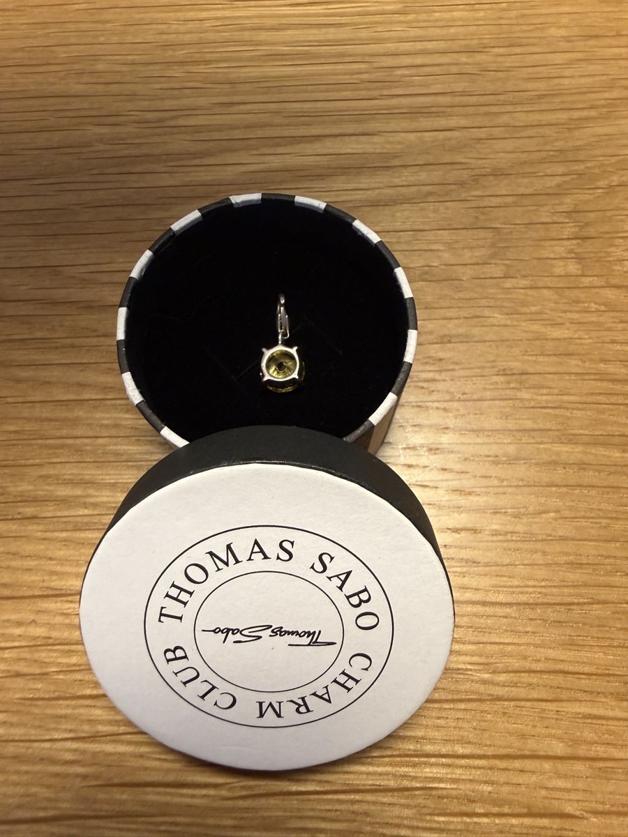 Thomas Sabo Anhänger: Thomas Sabo Geburtsstein November Charm – Gebraucht aus St. Gallen von lau_5ffy 1