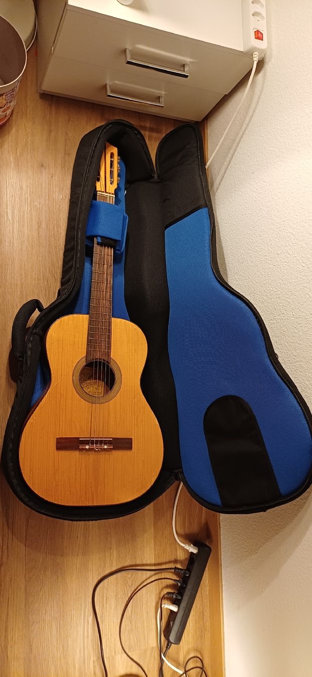 Borse: Gitarrentasche StefyLine – Usato da Kriens venduto da mel_z7m8 1