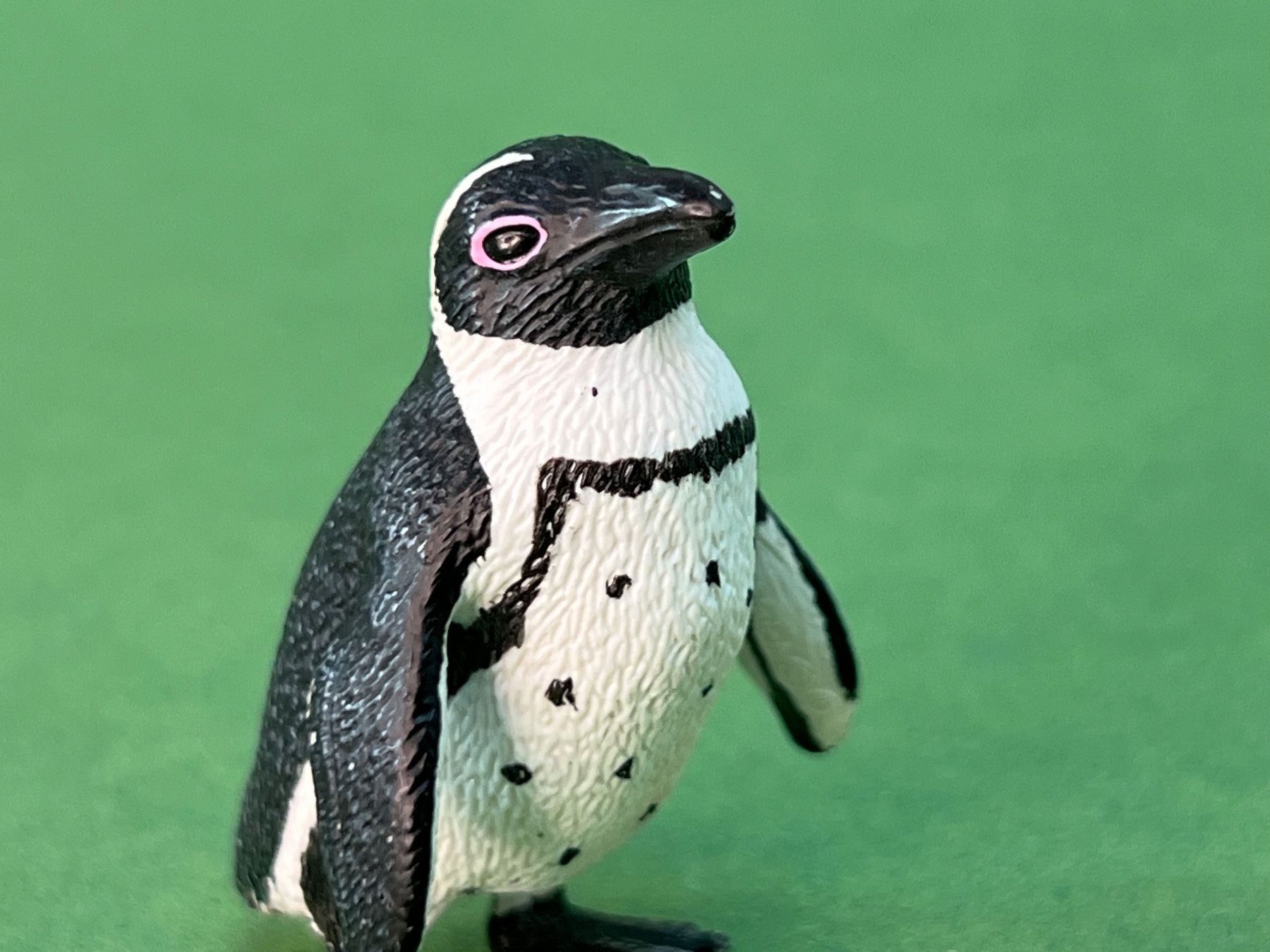 Schleich Statuette: Schleich Brillenpinguin Pinguin 14705 – Usato da Ennetbaden venduto da mapa05 2