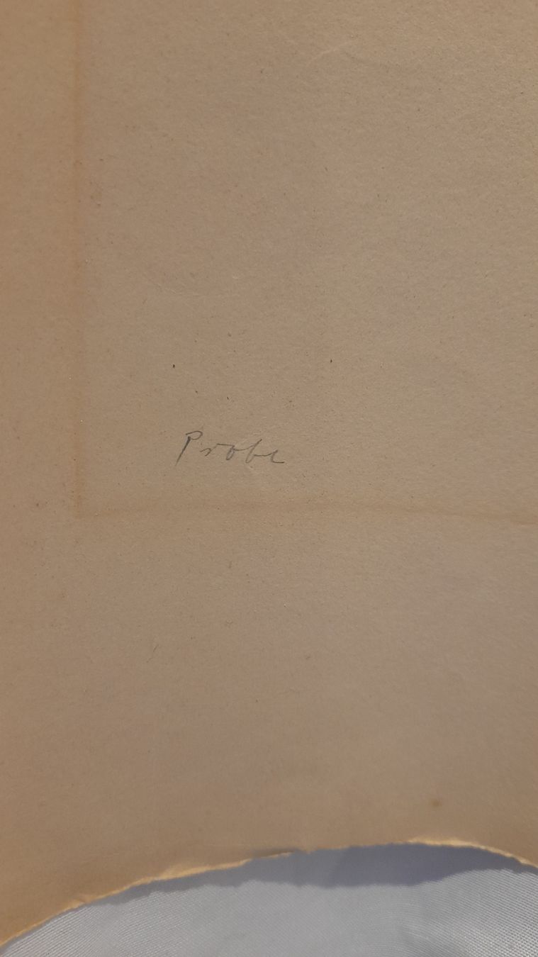 Grafica & Litografie: Lithographie originale signée, course de chevaux. – Usato da st.gallen venduto da The_Rag_Picker. 2