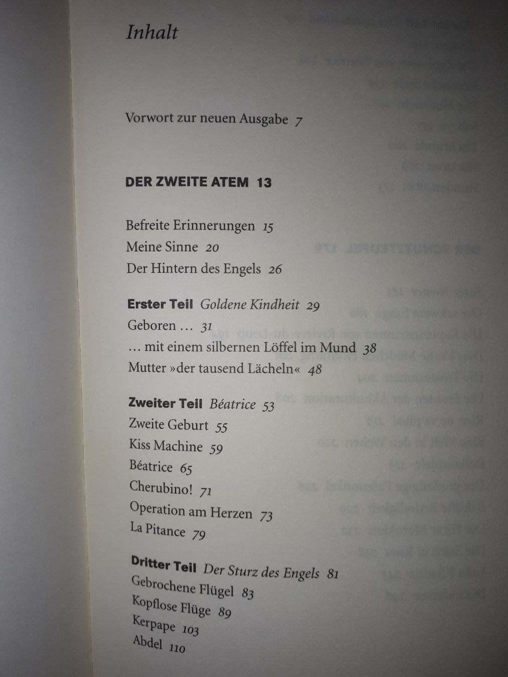 Libri: P. Pozzo di Borgo Ziemlich beste Freunde – Usato da Basel venduto da Alacant 3