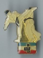 Placchette & Badge: Judo-Pin – Usato da Zürich venduto da t24_de