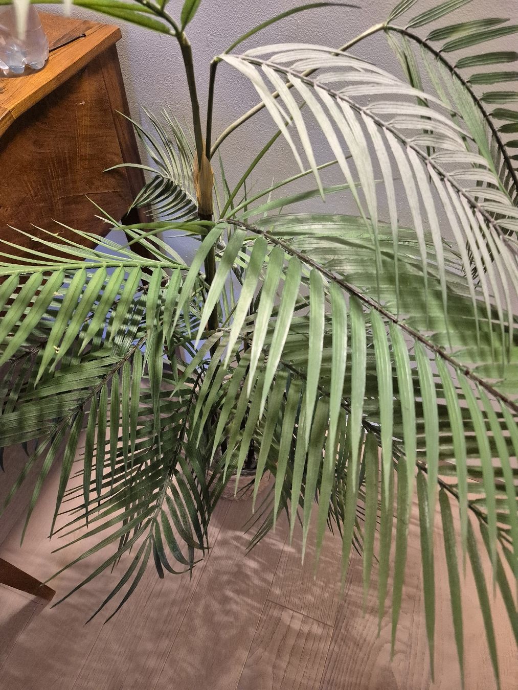 Piante & sementi: Künstliche Areca Palme – Usato da Sempach venduto da bue_d27g 3