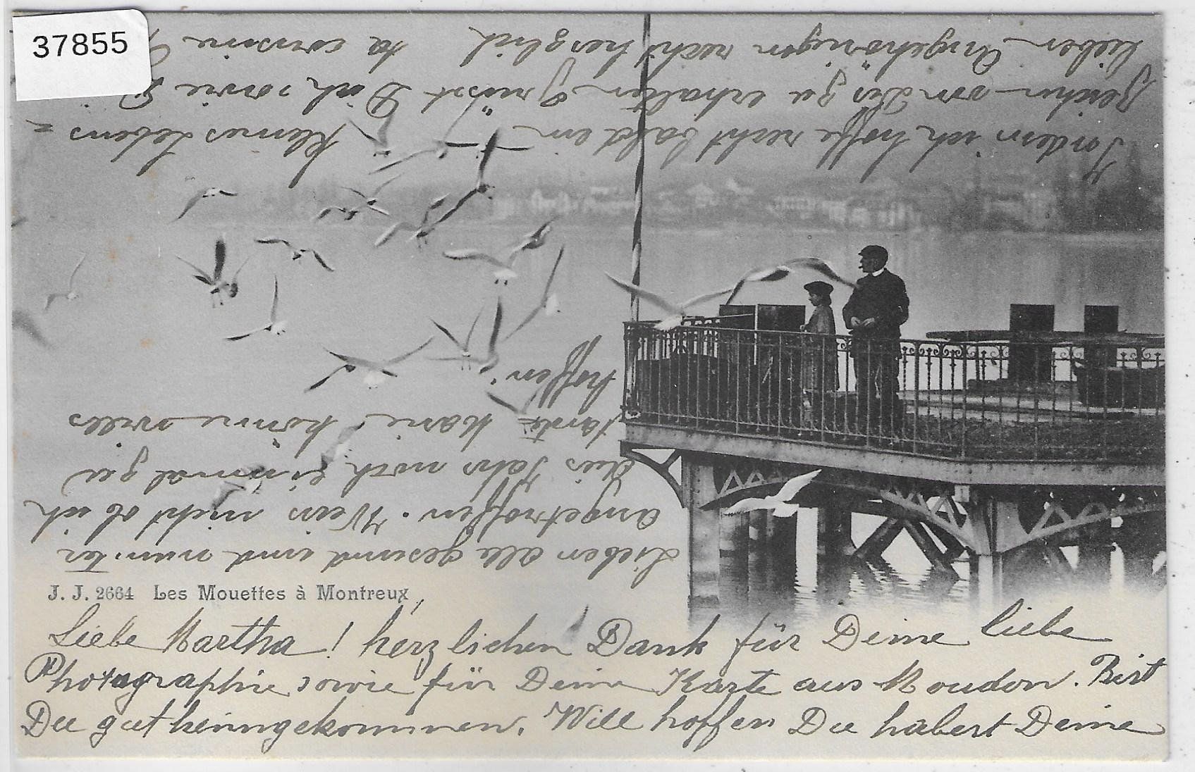 Cartoline postali: Les Mouettes a Montreux - animee – Usato da Ettingen venduto da Kartenplanet