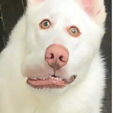 Profile image of Mike.wilc