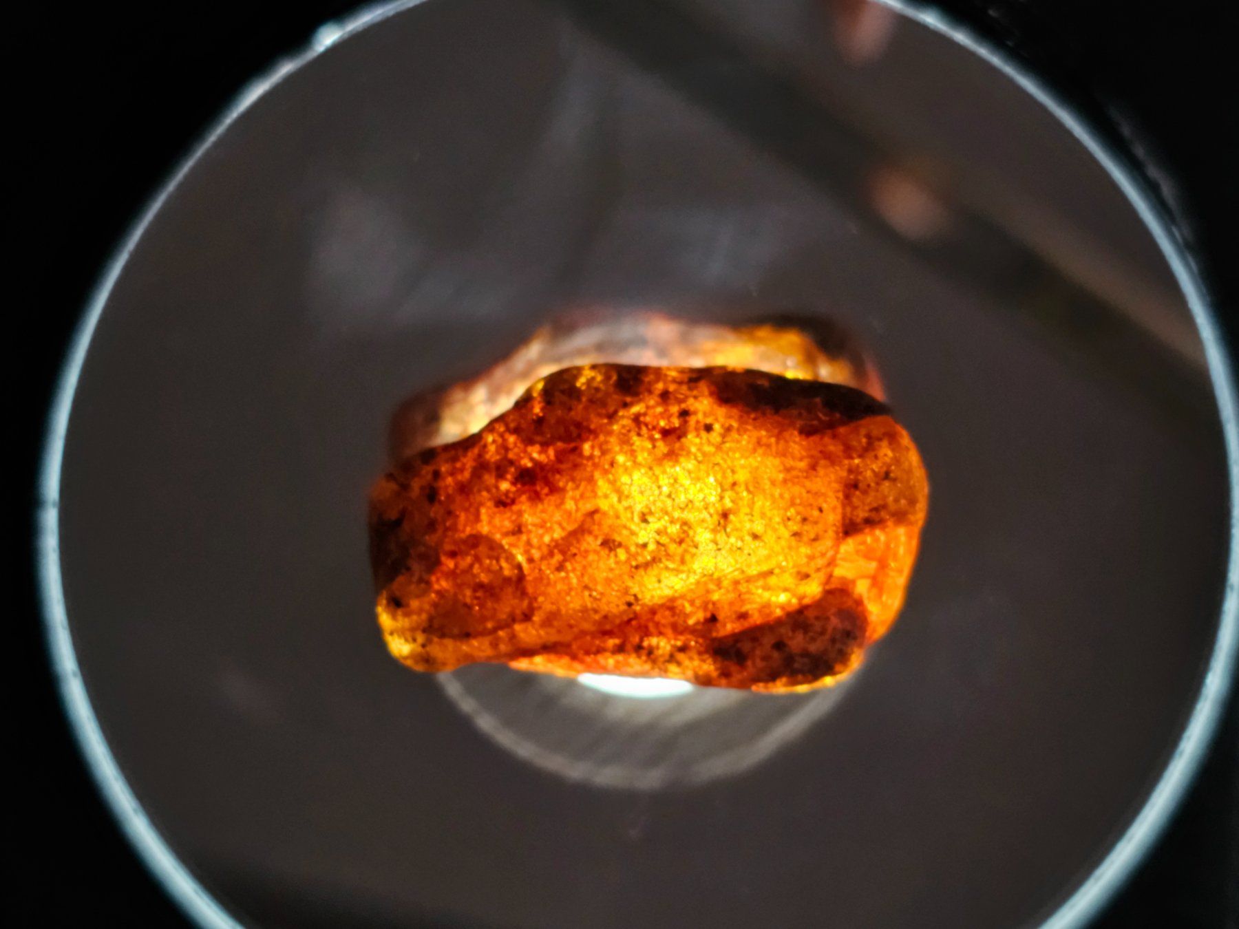 Minerali & Pietre curative: 5 gr Rohbernstein echt Roh Bernstein baltisch raw Humus – Nuovo (secondo la descrizione) da Riedt b. Erlen venduto da Gottestraene 1