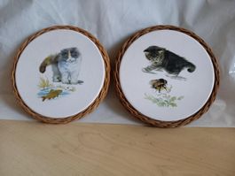 2 Untersetzer Cole Katzen Motive