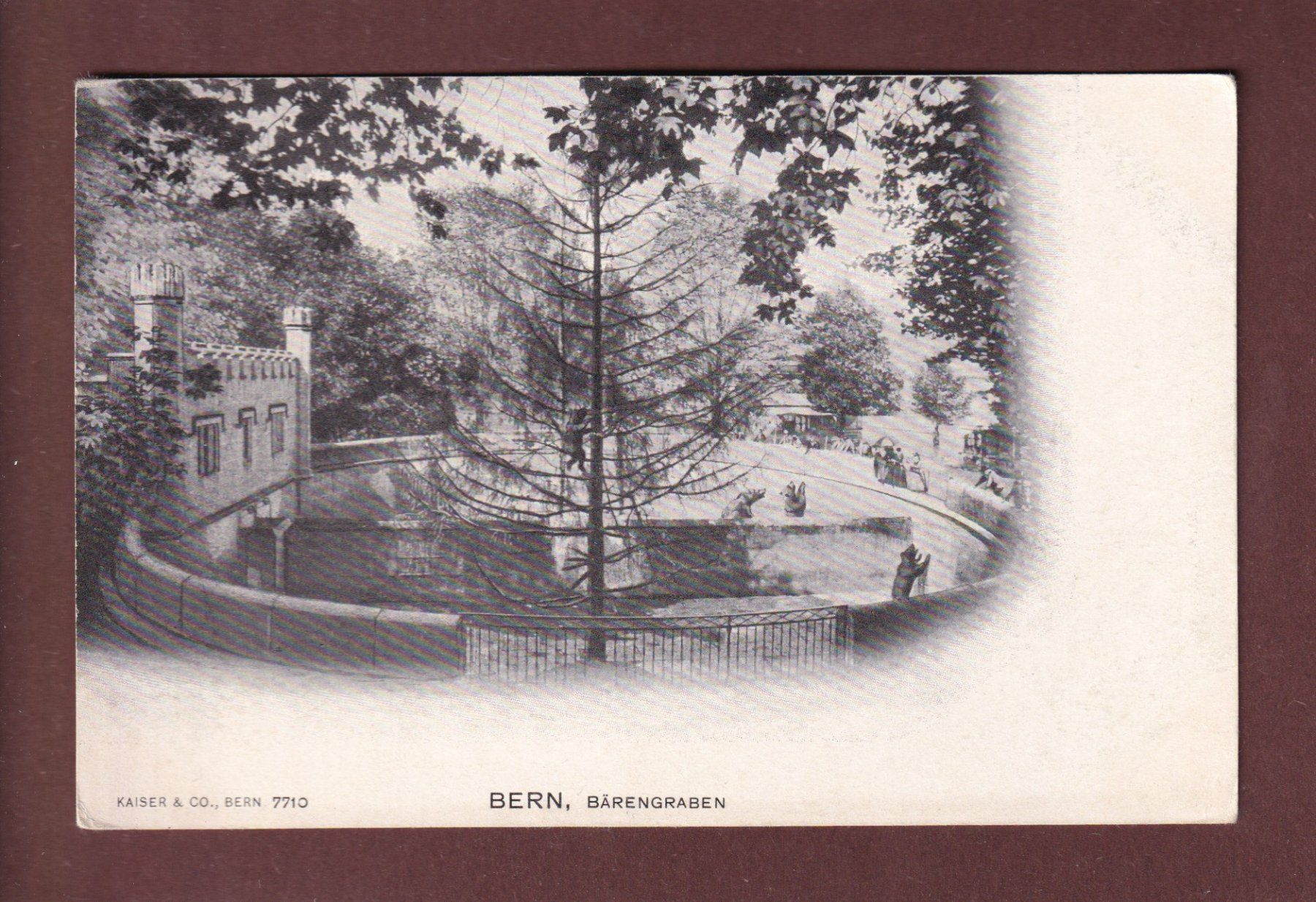 Ansichtskarten: BERN - Bärengraben – Gebraucht aus Pully von nicecards-shop