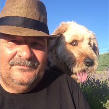 Profile image of Sysro