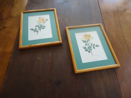 Dessins de roses jaunes encadrés - 2 pièces