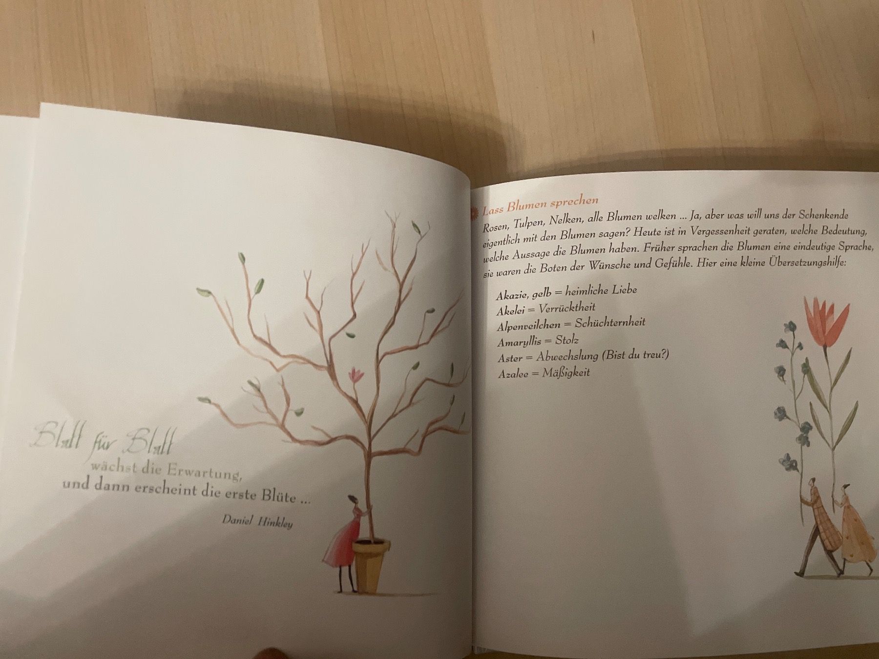 Libri: Blütenträume - Buch – Usato da Schaffhausen venduto da Kolibri023 1
