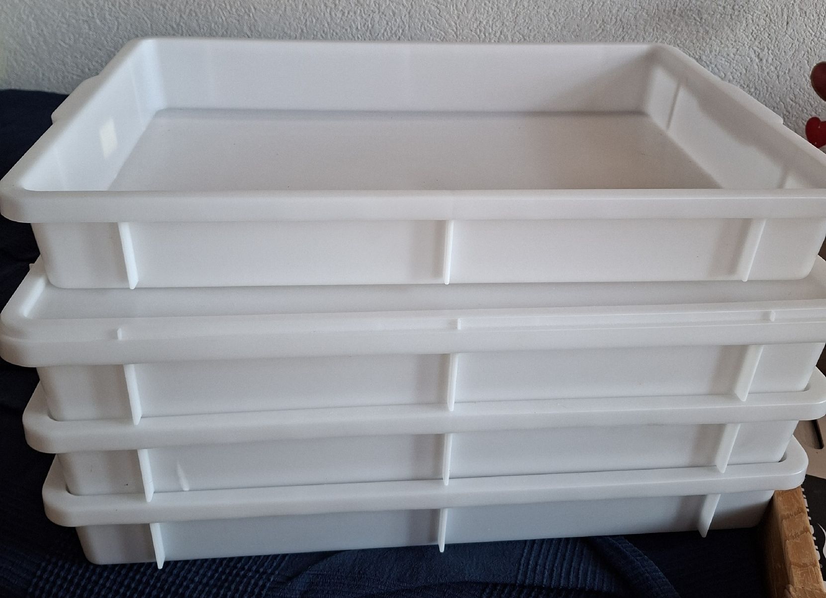 Contenitori & Simili: Teigbox – Usato da Herbligen venduto da bae_9j6p 2
