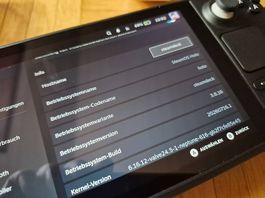 Steam Deck LCD 256GB mit viel zubehör